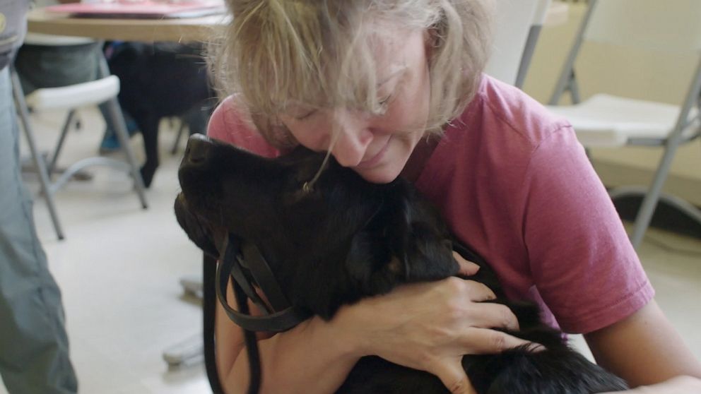 VIDEO: These service dogs trained in prison help first responders and war veterans heal 