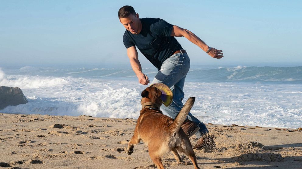 PHOTO: Channing Tatum stars as Briggs alongside Lulu the Belgian Malinois in the movie "Dog".
