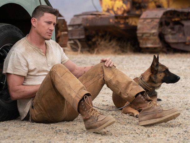 Review: 'Dog' is going to hit you like a shot in the heart - Good Morning  America