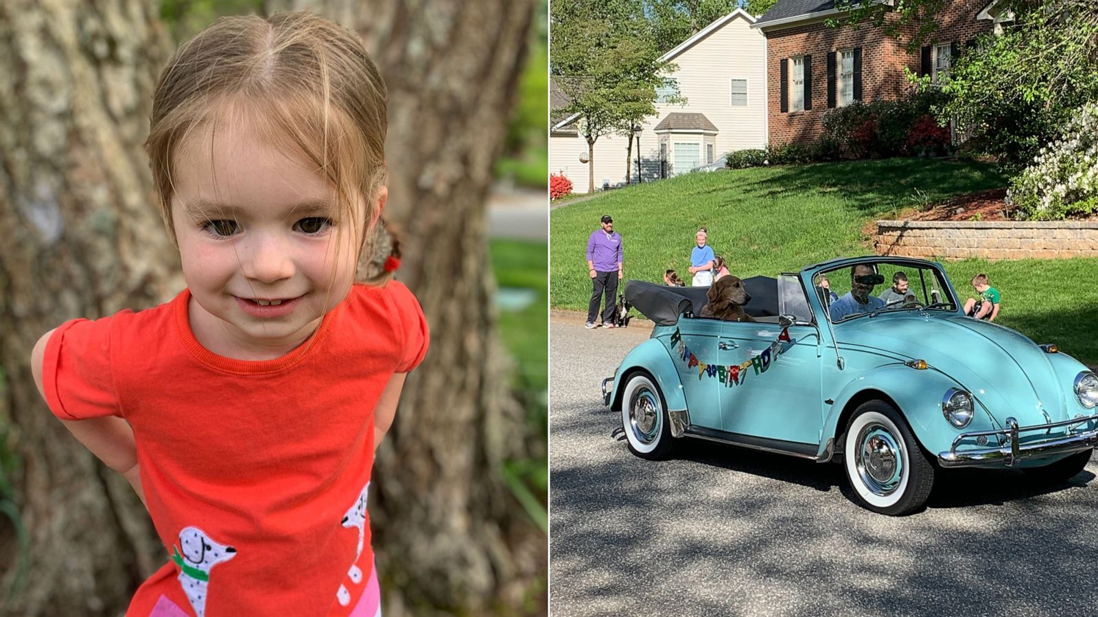 PHOTO: Elizabeth Guthrie was greeted by dozens of pooches for a curbside birthday celebration on April 21, 2020, in her hometown of Greensboro, N.C.