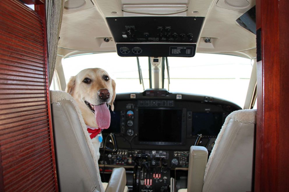 PHOTO: Bria has flown from Florida to the Bahamas and Colorado. 