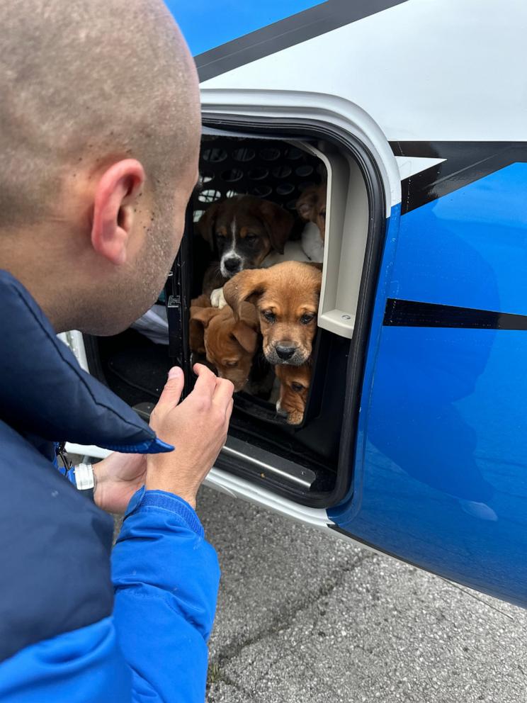 PHOTO: Dr. Brian Rambarran from Buffalo, New York flies his plane to save dogs from kill shelter and bring them to Nickel City Canine Rescue in Williamsville, New York.