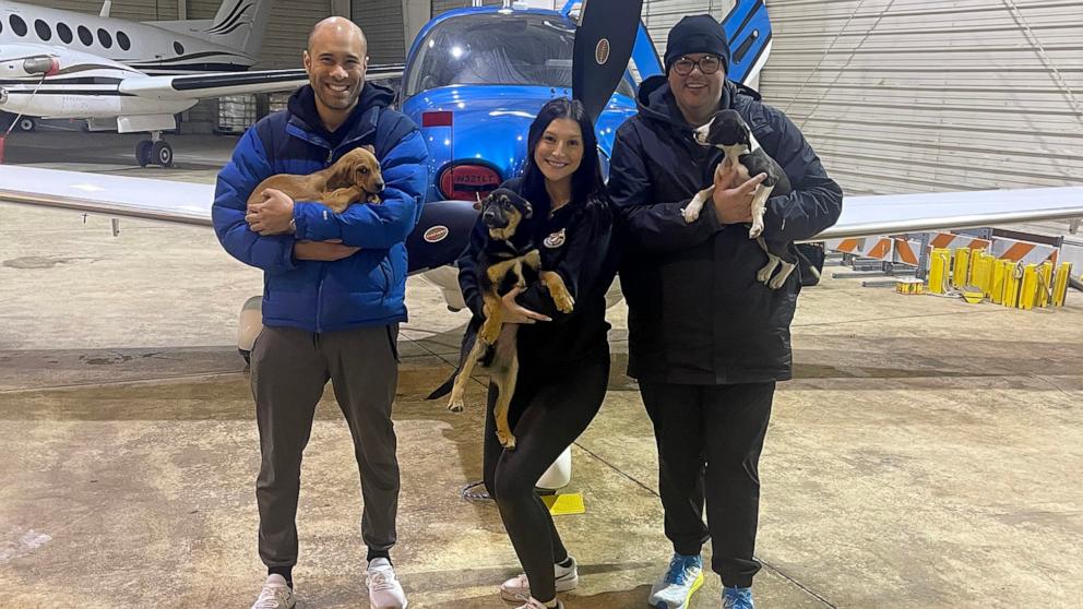 PHOTO: Dr. Brian Rambarran from Buffalo, New York flies his plane to save dogs from kill shelter and bring them to Nickel City Canine Rescue in Williamsville, New York.