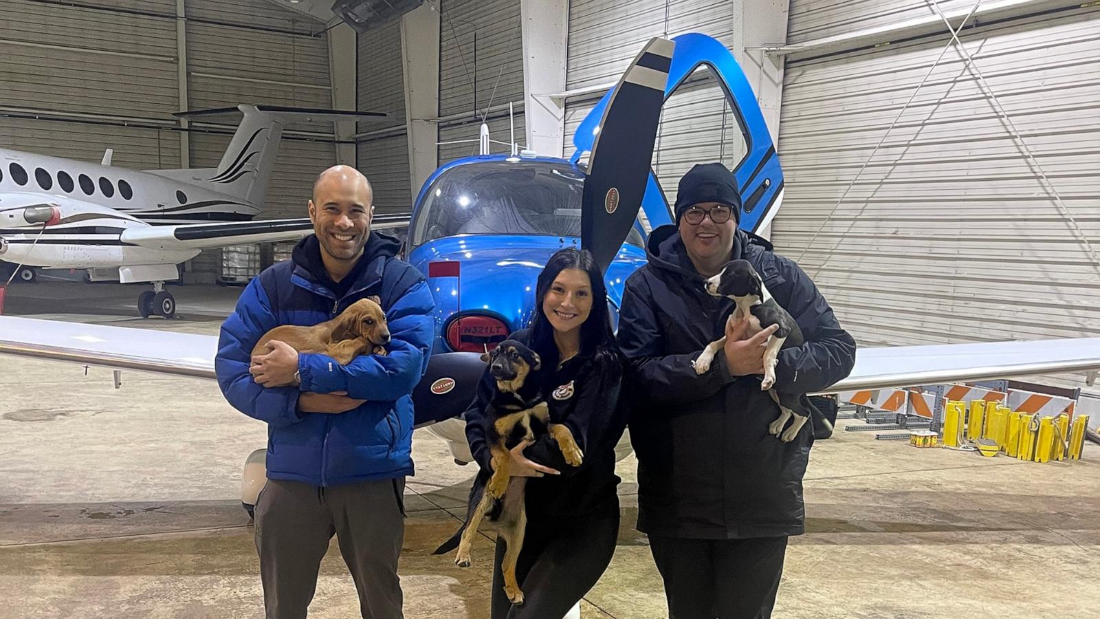 PHOTO: Dr. Brian Rambarran from Buffalo, New York flies his plane to save dogs from kill shelter and bring them to Nickel City Canine Rescue in Williamsville, New York.