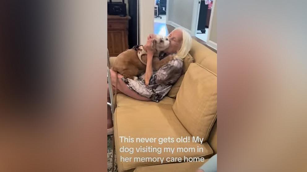 PHOTO: Adam Mandell's Cavapoo can barely contain her excitement when she visits his mother at a memory care home in Ohio.