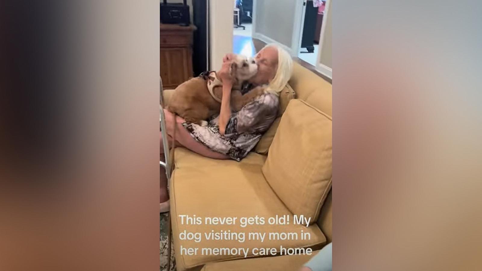 PHOTO: Adam Mandell's Cavapoo can barely contain her excitement when she visits his mother at a memory care home in Ohio.