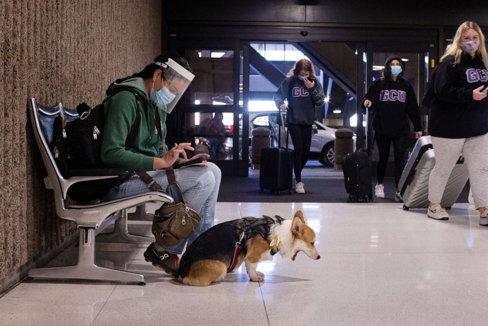 PHOTO: Nancy Dewitt and her dog, Telsa, wait to catch their flight on Nov. 25, 2020, at Sky Harbor International Airport in Phoenix.
