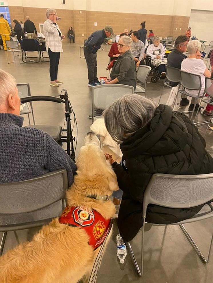 PHOTO: Los Angeles fire evacuees pet Jack, a therapy dog for the Pasadena Fire Department.