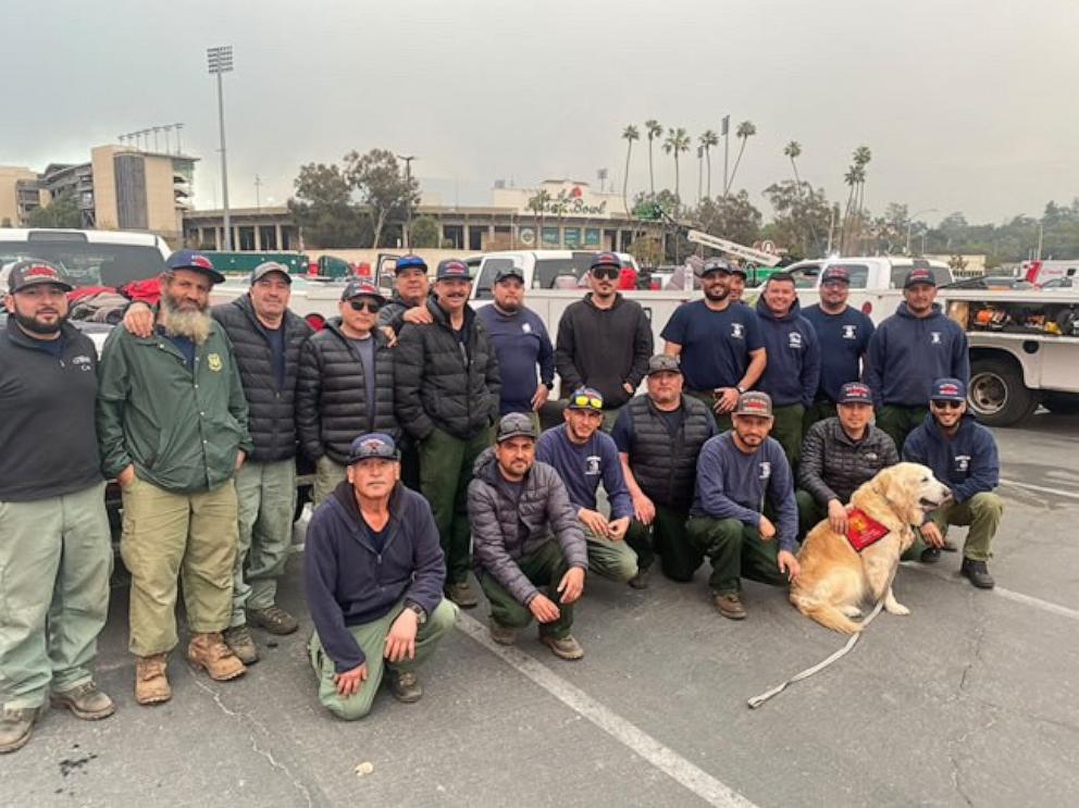 PHOTO: Jack, an 11-year-old Golden Retriever therapy dog for the Pasadena Fire Department visits with first responders.