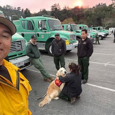 PHOTO: Victor Laveaga takes a selfie as Jack, the Golden Retriever, helps a group of first responders during the Los Angeles fires. 