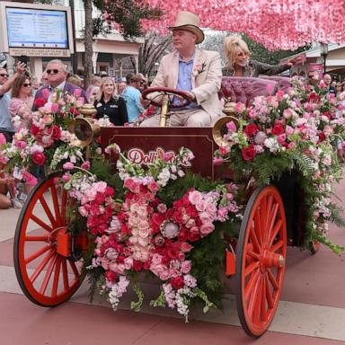 PHOTO: Dolly Parton making her first public appearance, since her husband's death, celebrating the 40th opening day at Dollywood, March 14, 2025. 