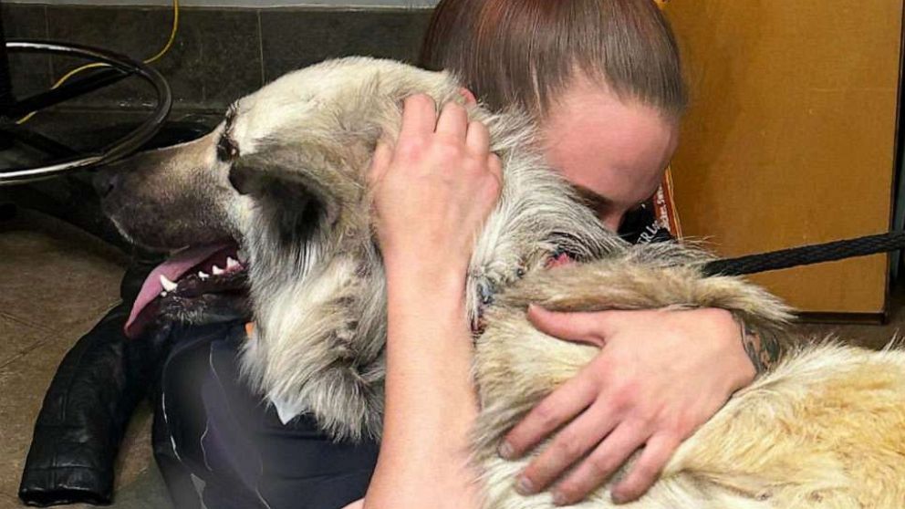 PHOTO: Lilo and her owner were reunited this week after McKamey Animal Center in Chattanooga, Tennessee posted about the dog on their social media page.