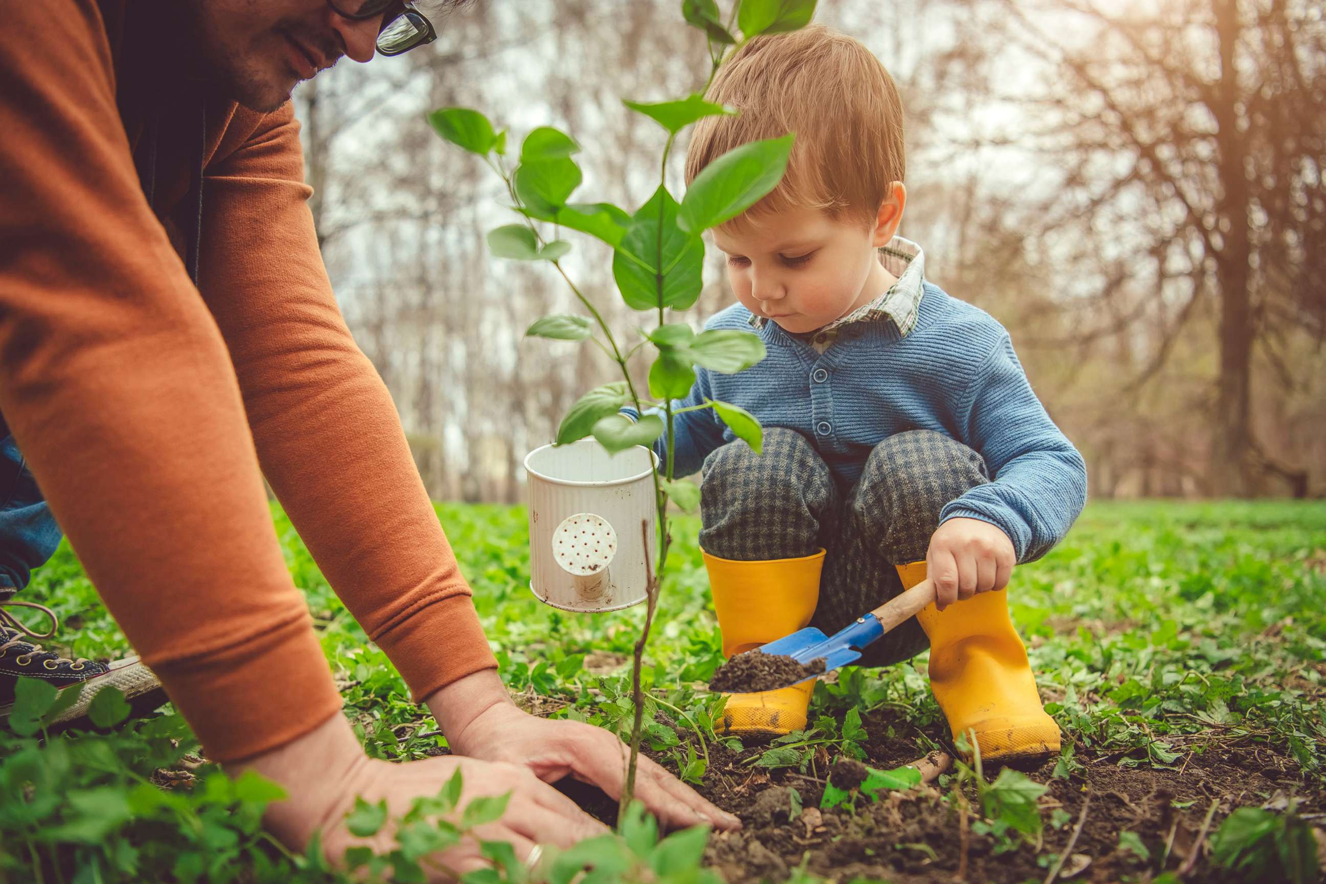 PHOTO: Little boy and his father gardening in spring