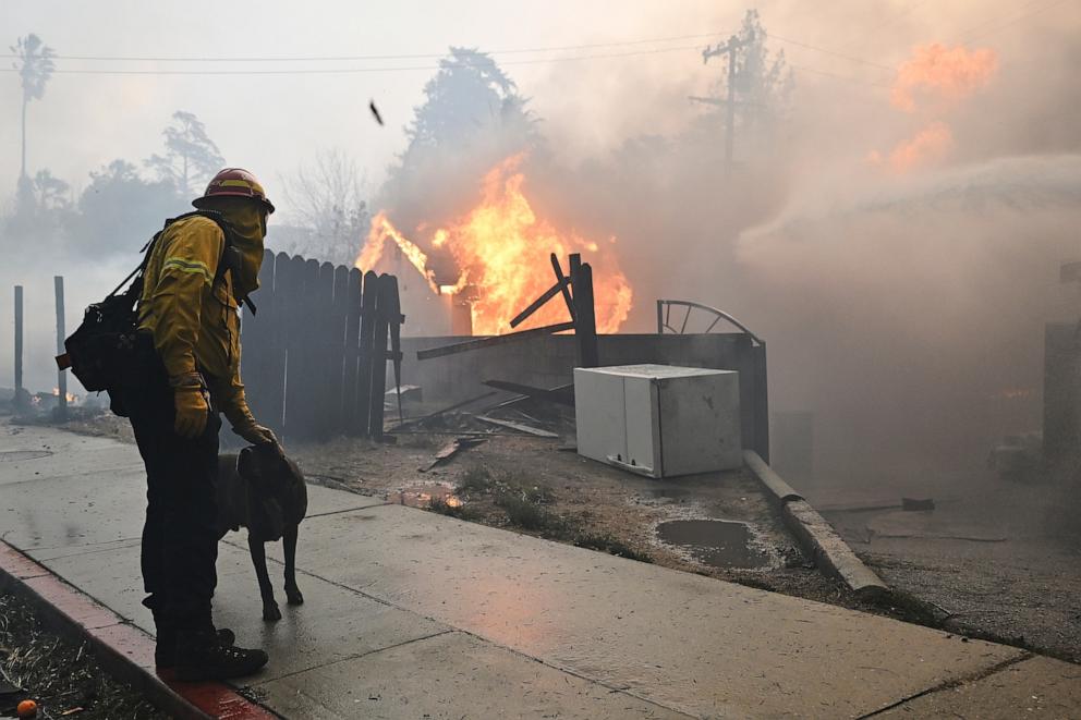 PHOTO: A firefighter pets a dog while battling the Eaton Fire, Jan. 8, 2025 in Altadena, Calif.