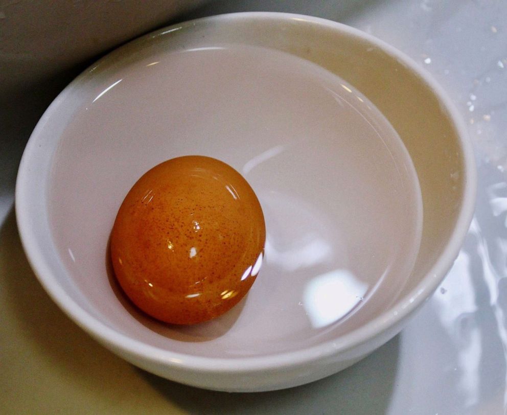 PHOTO: An egg is in a bowl of water in this undated stock photo.