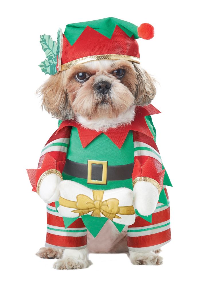 PHOTO: Elf Pup Dog Costume