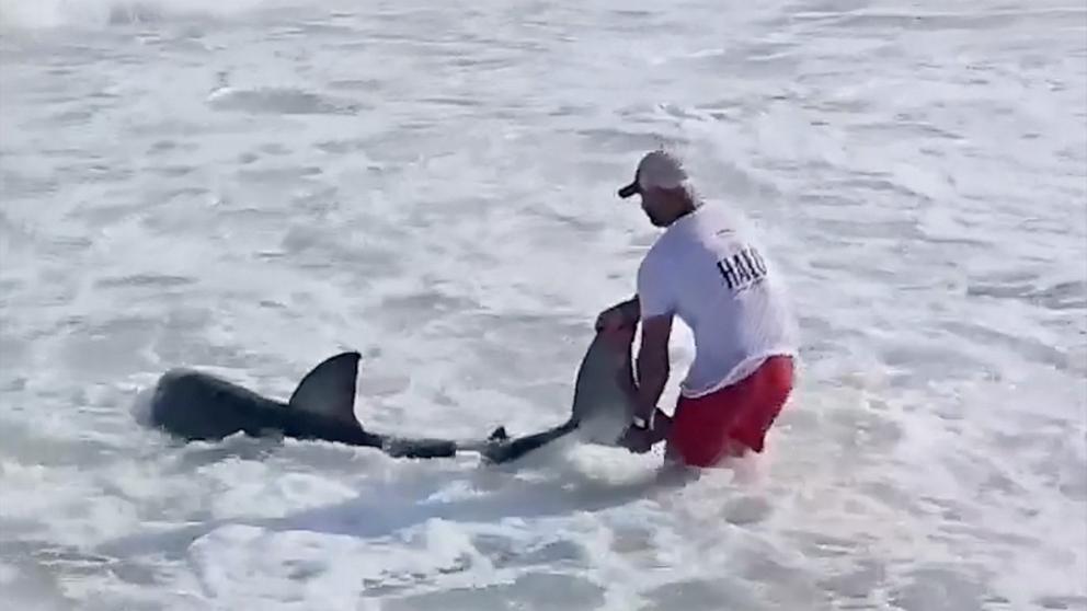 PHOTO: Elliot Sudal caught a great white shark off the coast of Nantucket, Massachusetts.