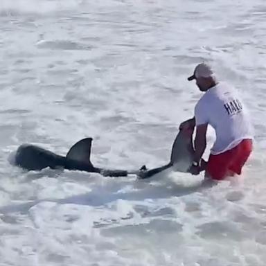 PHOTO: Elliot Sudal caught a great white shark off the coast of Nantucket, Massachusetts.