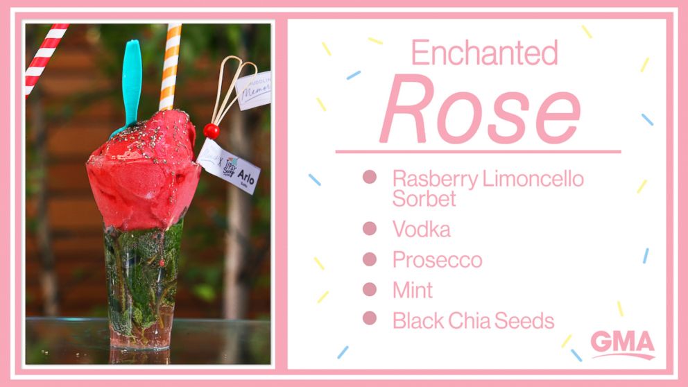 PHOTO: Enchanted Rose