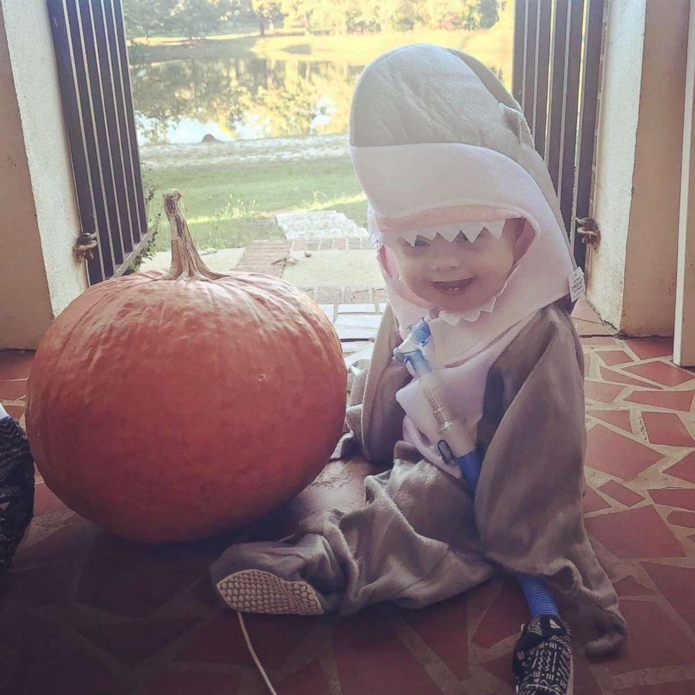 VIDEO: This 'baby shark' just won Halloween so the rest of us can go home now