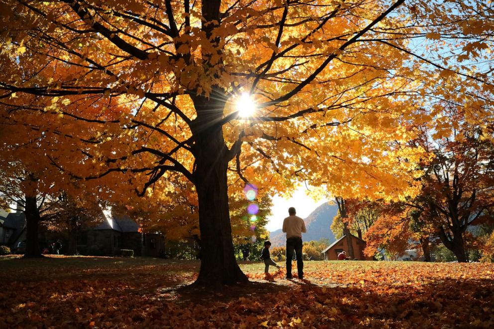 PHOTO: People stand under an autumn colored tree in Cold Spring, New York, Oct. 31, 2015. 