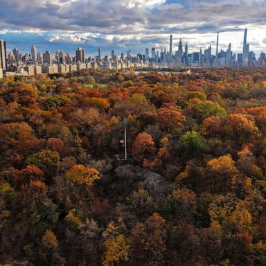 PHOTO: Fall foliage in full color is seen in New York City's Central Park during sunset.