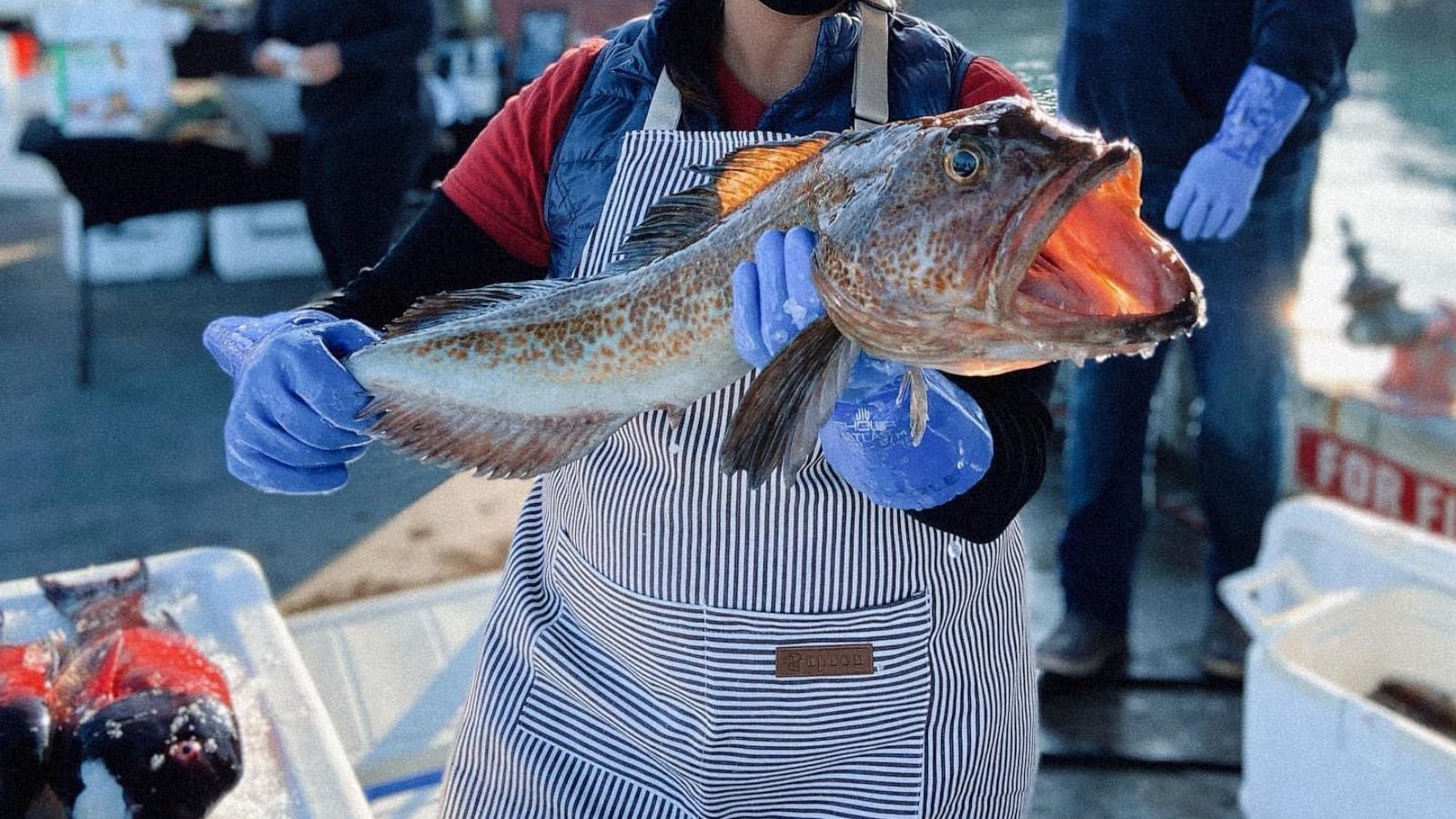 Talking Tuna: How they're caught, how stocks are managed, and what species  to look for - Seaside with Emily