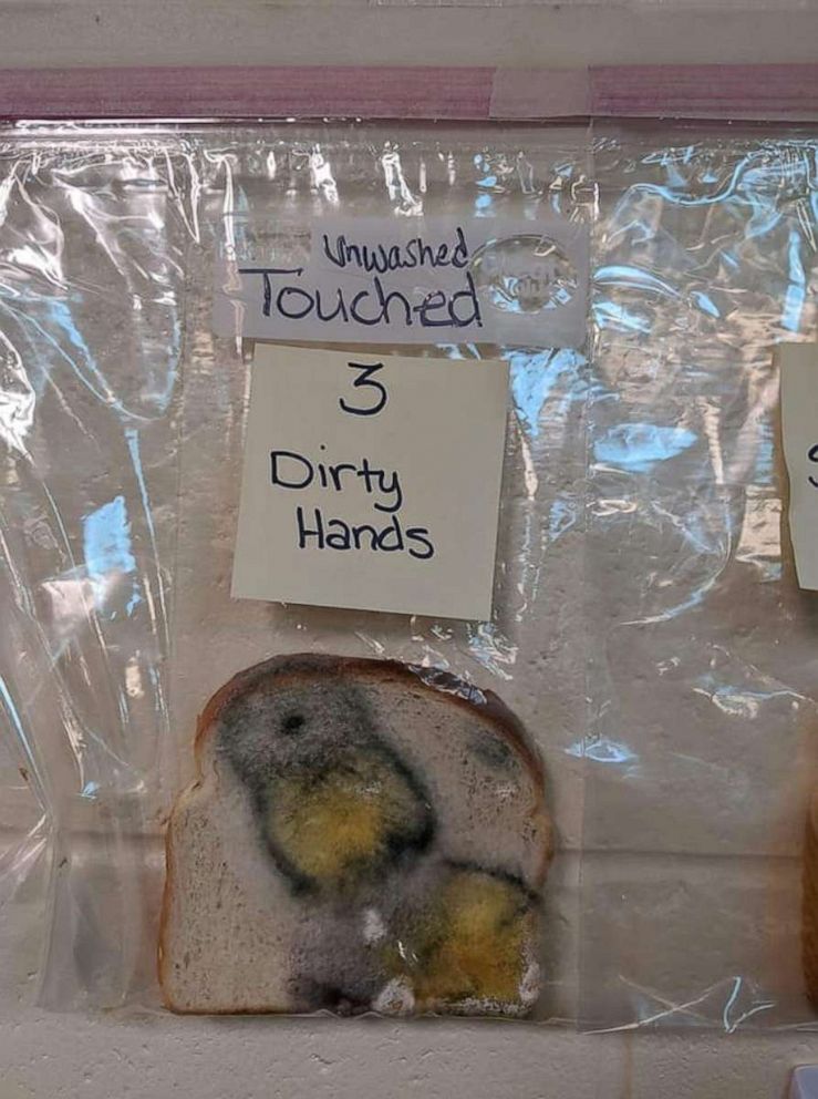 PHOTO: Jaralee Metcalf, a behavior specialist at Discovery Elementary School in Idaho Falls, posted a science project she and special education teacher Dayna Robertson faciliatated to teach kids the importance of cleanliness.
