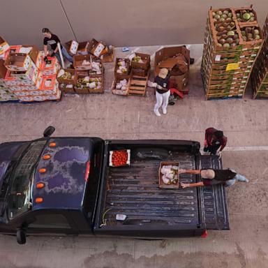 PHOTO: Volunteers help load vehicles during a food distribution at the San Antonio Food Bank for SNAP recipients, Nov. 6, 2025, in San Antonio.