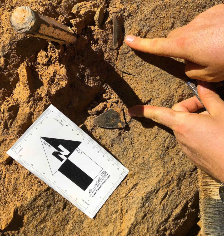 PHOTO: Philip Mullaly found a set of shark teeth in Jan Juc along Victoria's Surf Coast where a team of paleontologists at Museums Victoria excavated the fossils.