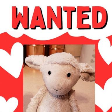PHOTO: The nonprofit Lost Stuffy Project is helping reunite children impacted by July 4 flash floods in Texas with their “lost” stuffed toys.