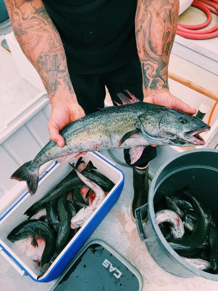 PHOTO: Freshly caught fish being brought into the Tuna Harbor Dockside Market in San Diego, California.