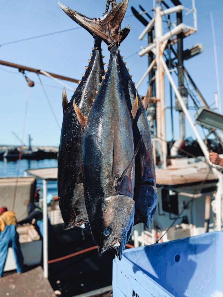 PHOTO: Fresh caught fish at the Tuna Harbor Dockside Market in San Diego.