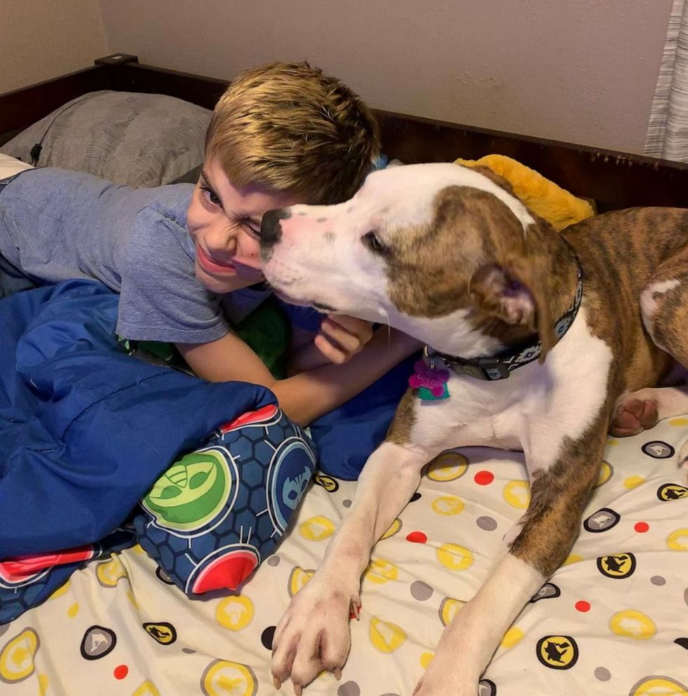 PHOTO: Gabe Banzhof, 10, was adopted by Thomas Banzhof before heading over to Lucas County Canine Care & Control in Toledo, Ohio, to bring home his dog, Cupid.