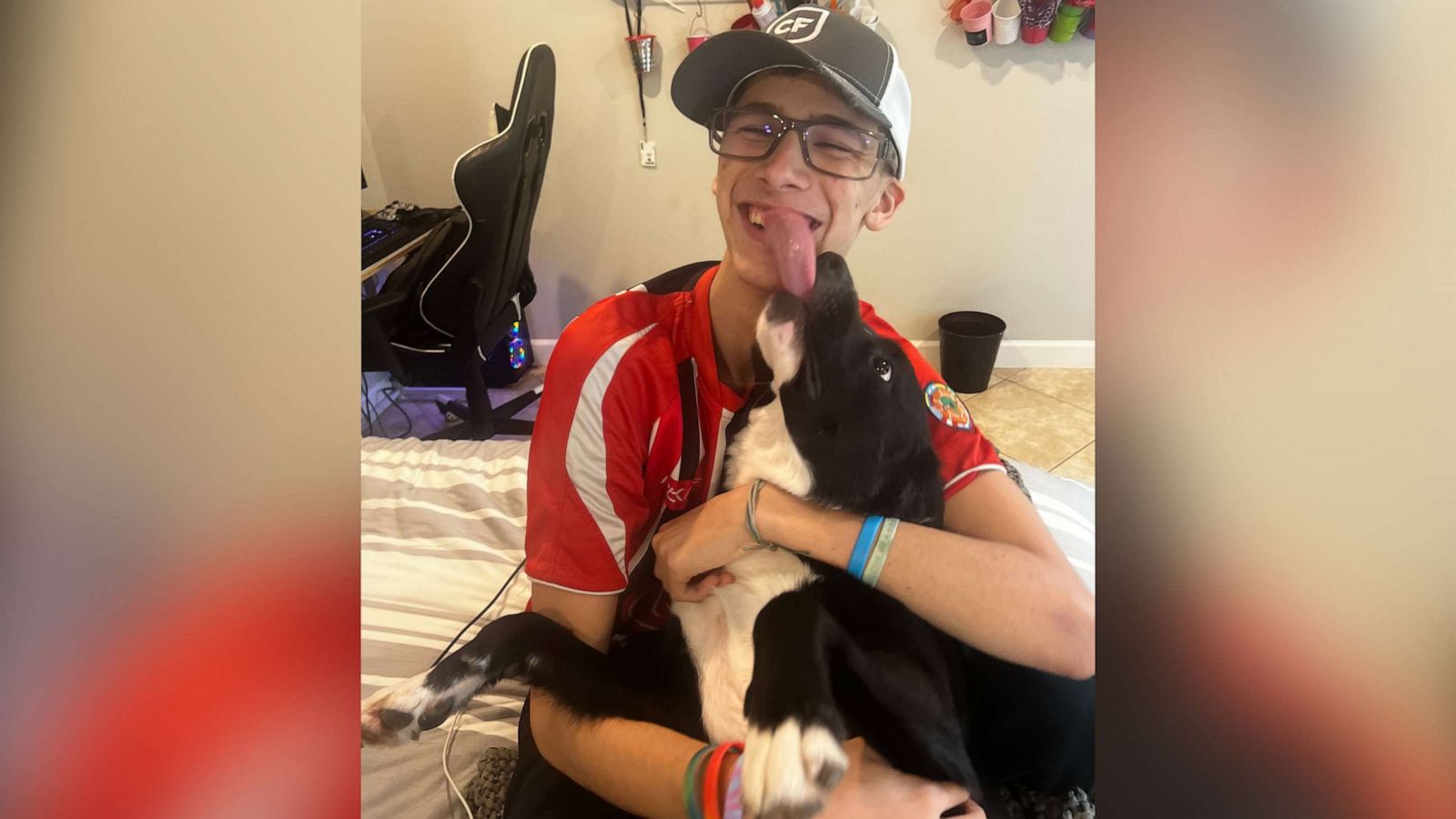 PHOTO: Axel, the family's Border Collie, led Gabriel's parents to their son having a stroke.