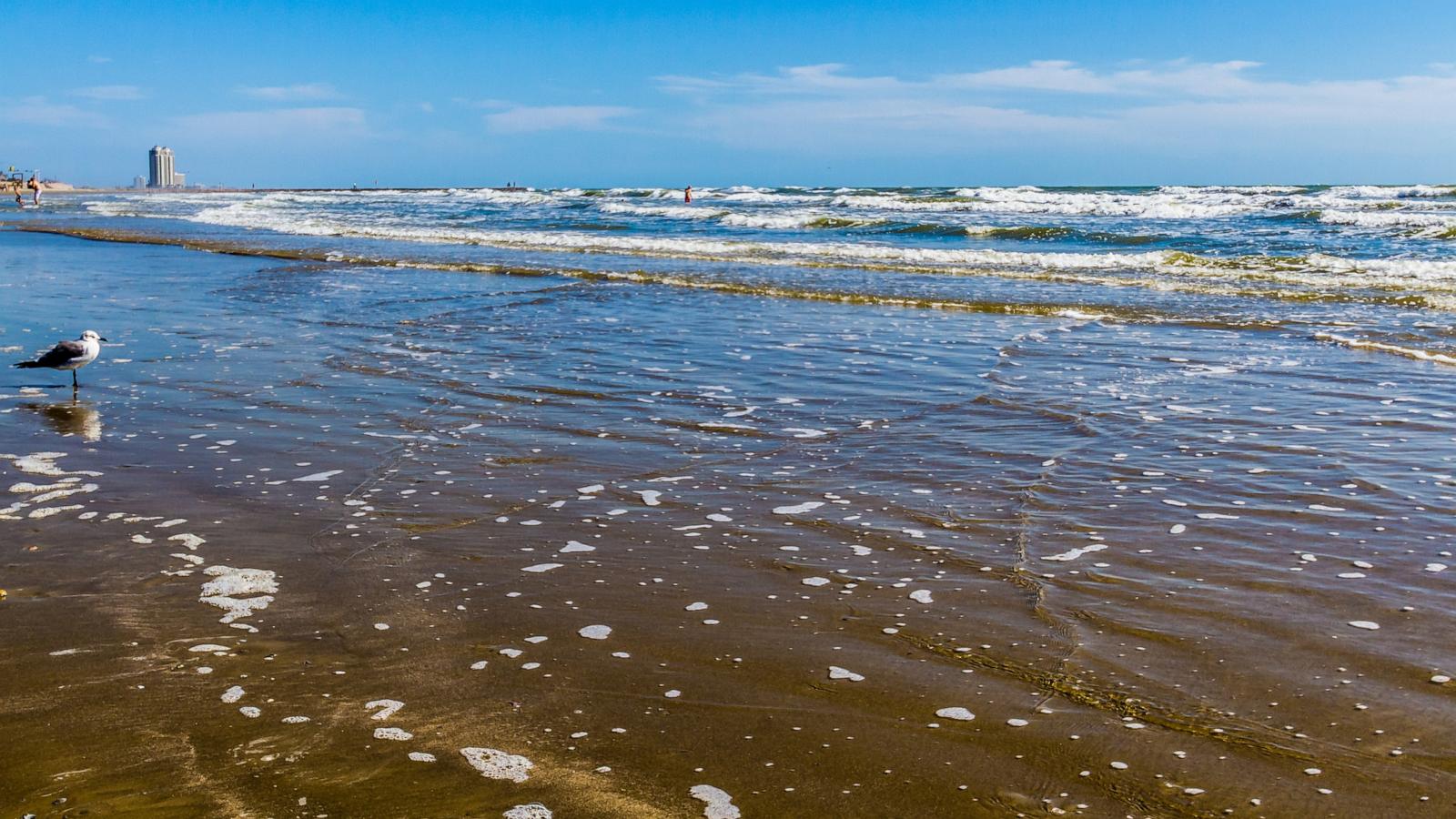 PHOTO: Galveston Island Beach in Texas is shown in this undated file photo.