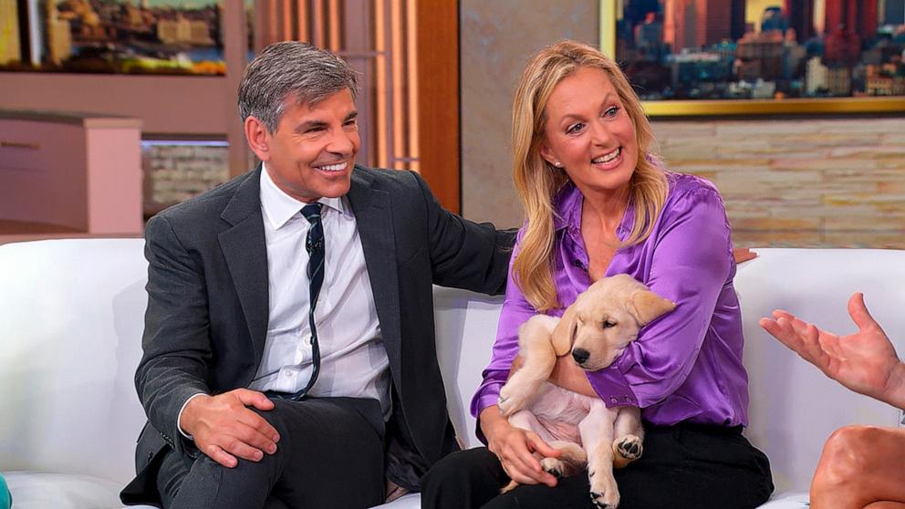 PHOTO: “Good Morning America” co-anchor George Stephanopoulos and his wife, Ali Wentworth, have adopted a new puppy named Fig.