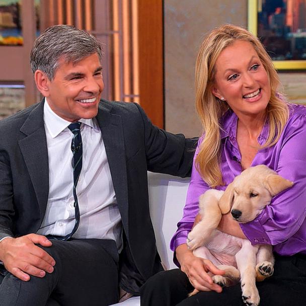“Good Morning America” co-anchor George Stephanopoulos and his wife, Ali Wentworth, have adopted a new puppy named Fig.
