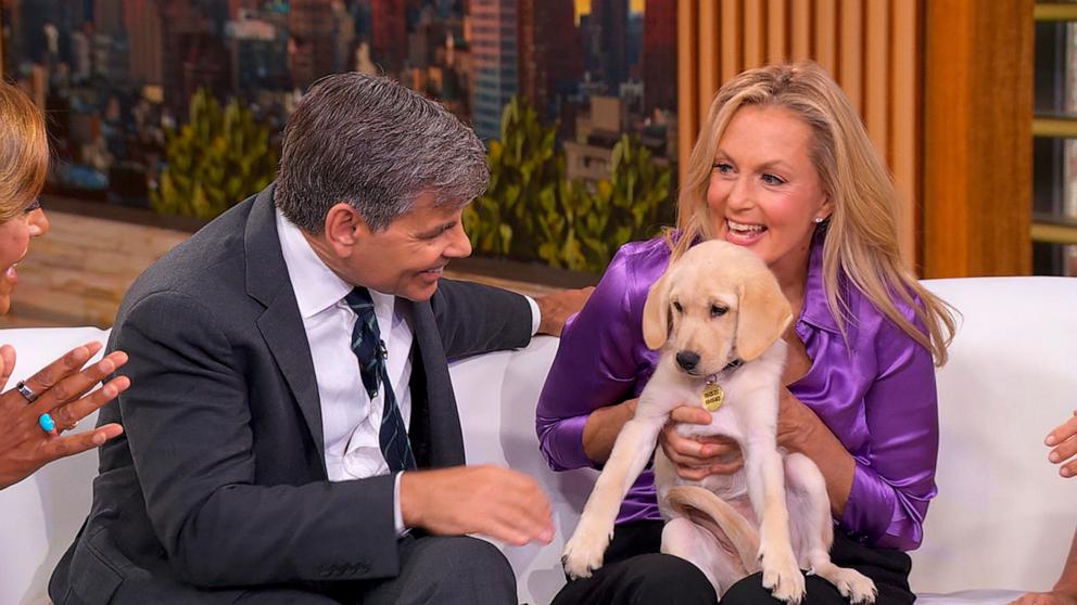 PHOTO: “Good Morning America” co-anchor George Stephanopoulos and his wife, Ali Wentworth, have adopted a new puppy named Fig.
