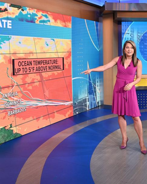 How ABC News chief meteorologist Ginger Zee explains climate change to her  kids - Good Morning America