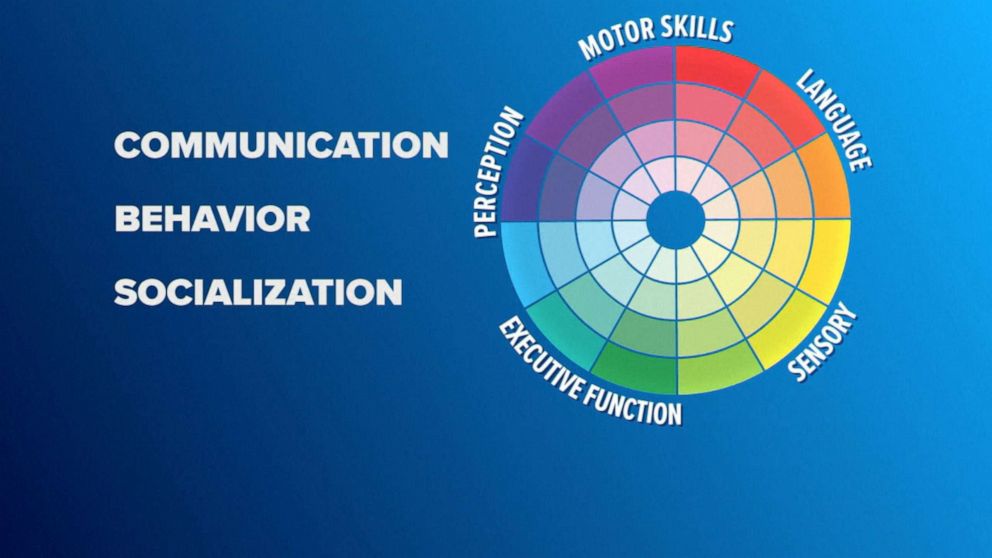 PHOTO: Autism spectrum is illustrated in this graphic as a color wheel, where each person is affected differently.