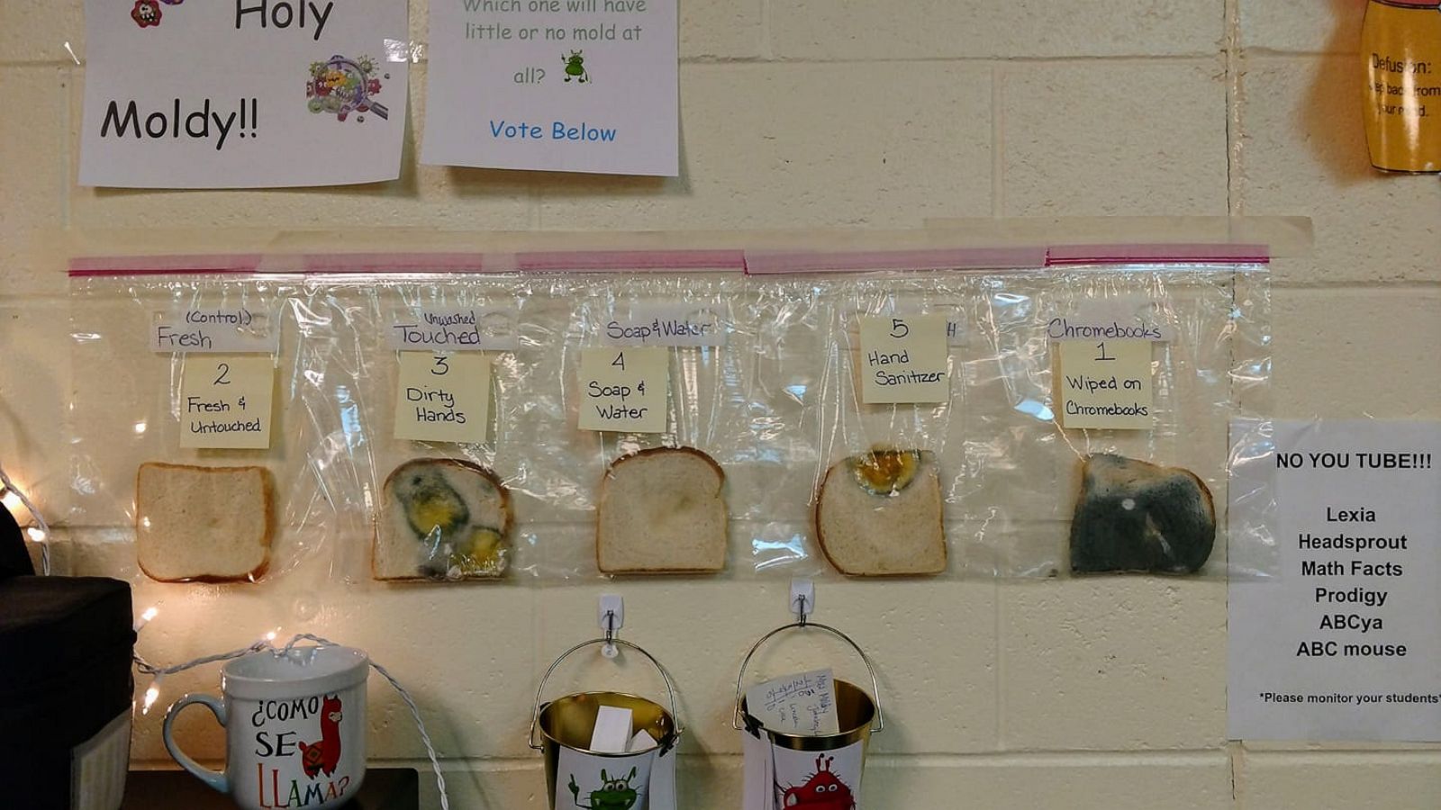 PHOTO: Jaralee Metcalf, a behavior specialist at Discovery Elementary School in Idaho Falls, posted the aftermath of a science project which taught kindergarten through sixth graders the importance of cleanliness.