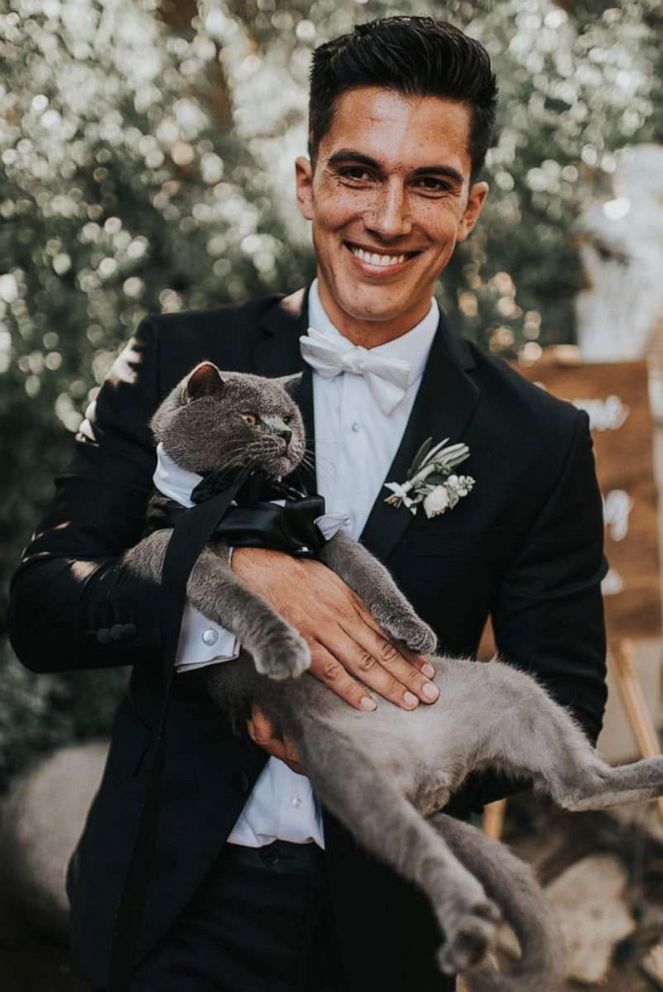 PHOTO: Prince Michael cat wedding groomsman