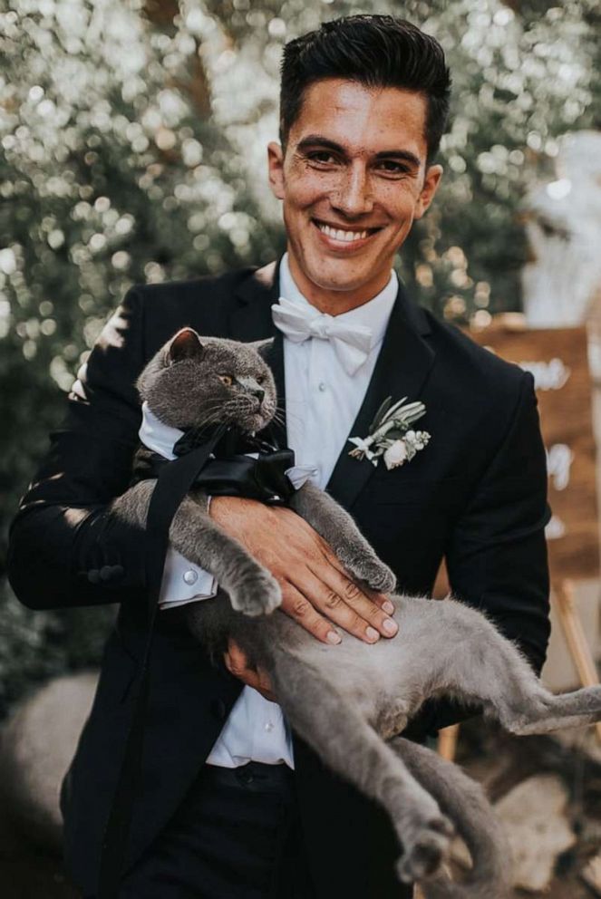 Cat Appears as Groomsman at Wedding