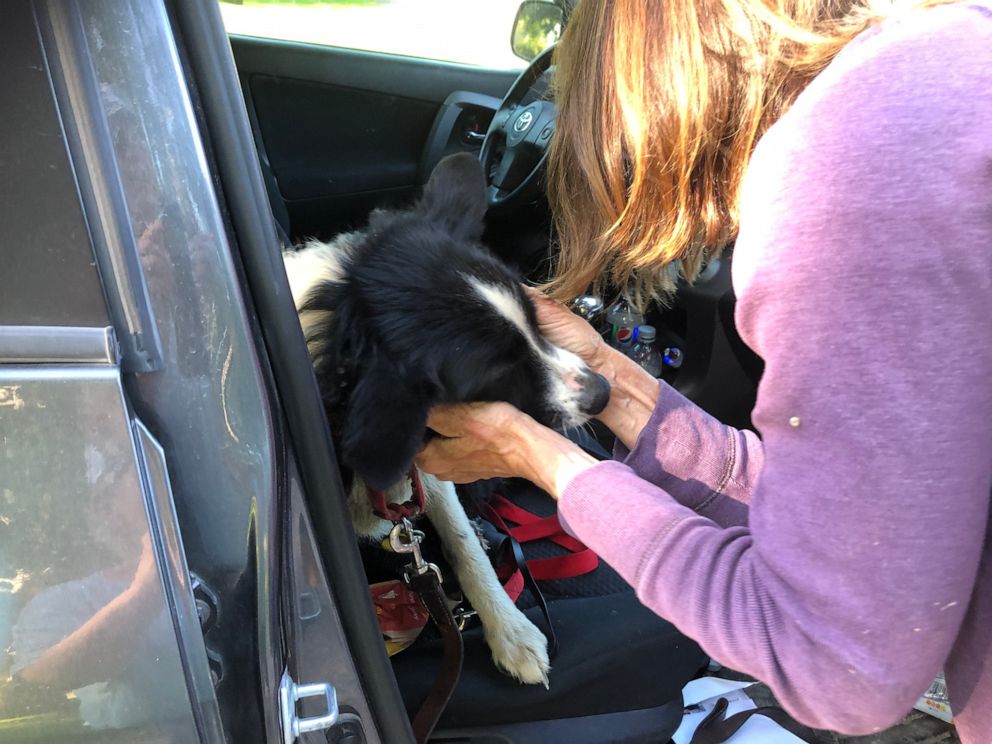 PHOTO: Carole and Verne King quit their job to find their dog.