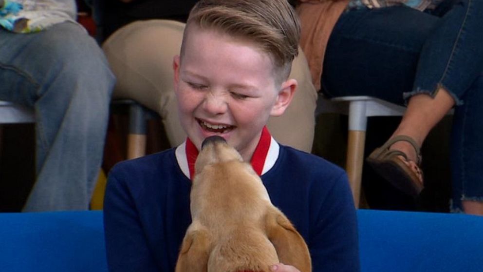 PHOTO: Eli Morgan, who has type 1 diabetes, meets his new diabetes alert dog.