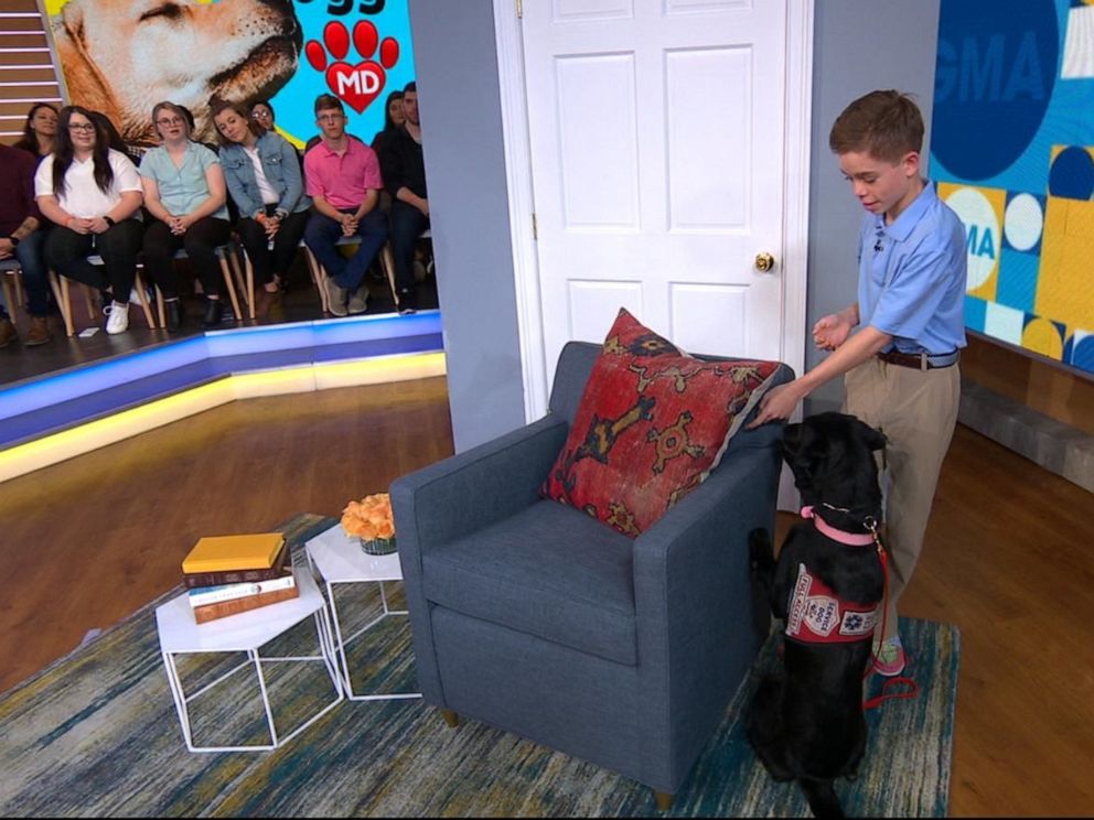 PHOTO: Hayden Kreikemeier, 13, first got his Labrador retriever, Trixie, three years ago to help with his life-threatening nut allergy.