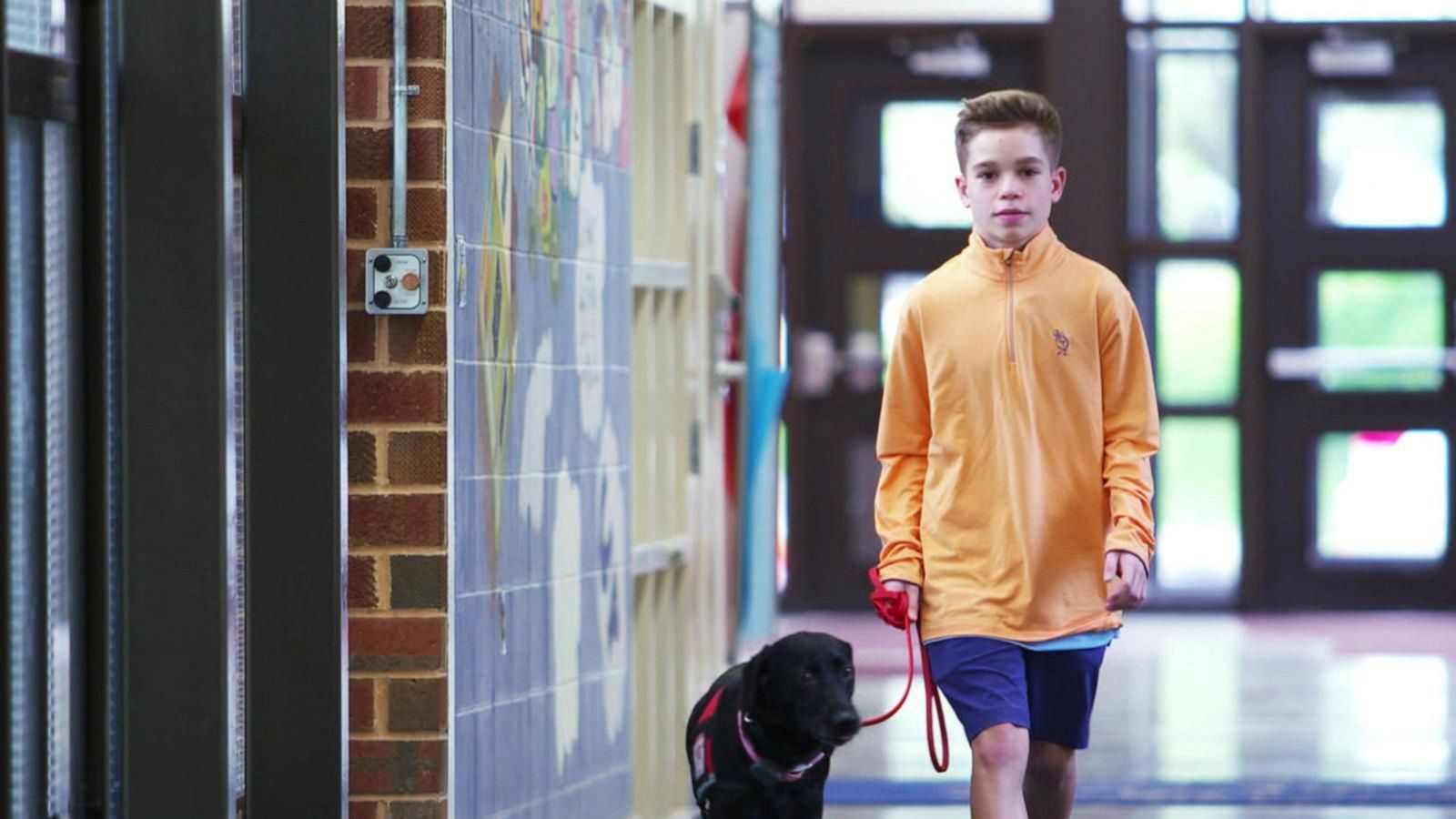 PHOTO: Hayden Kreikemeier, 13, first got his Labrador retriever, Trixie, three years ago to help with his life-threatening nut allergy.