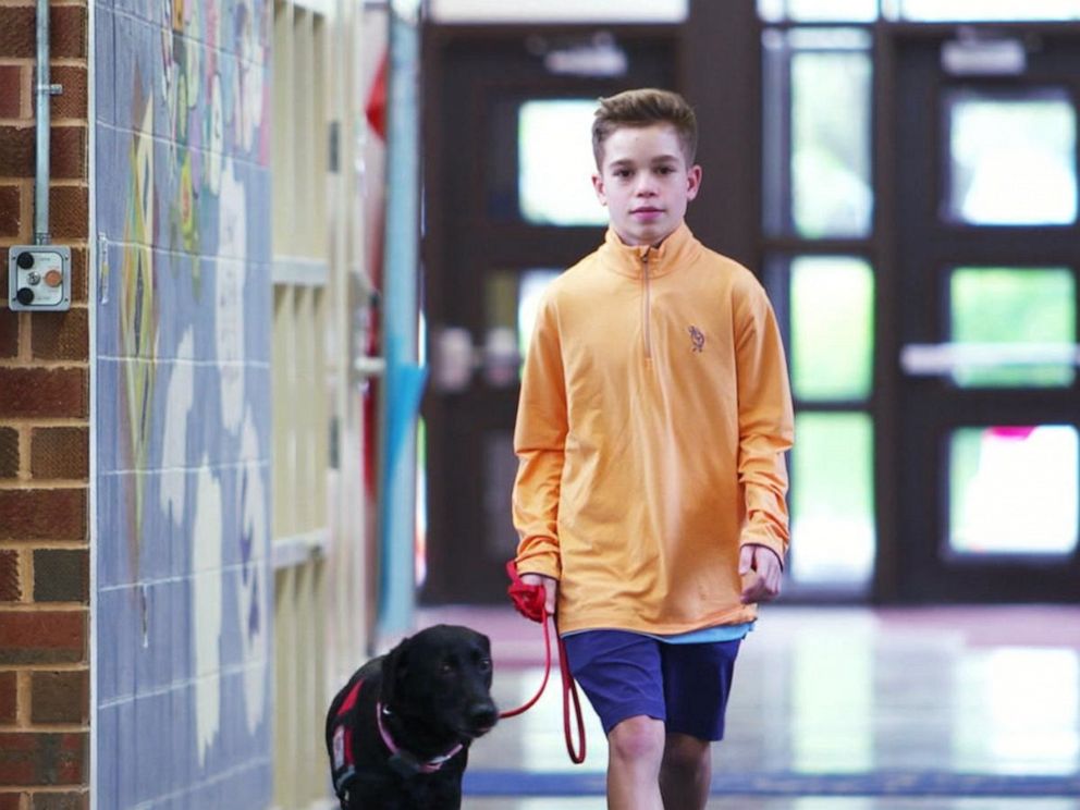 PHOTO: Hayden Kreikemeier, 13, first got his Labrador retriever, Trixie, three years ago to help with his life-threatening nut allergy.
