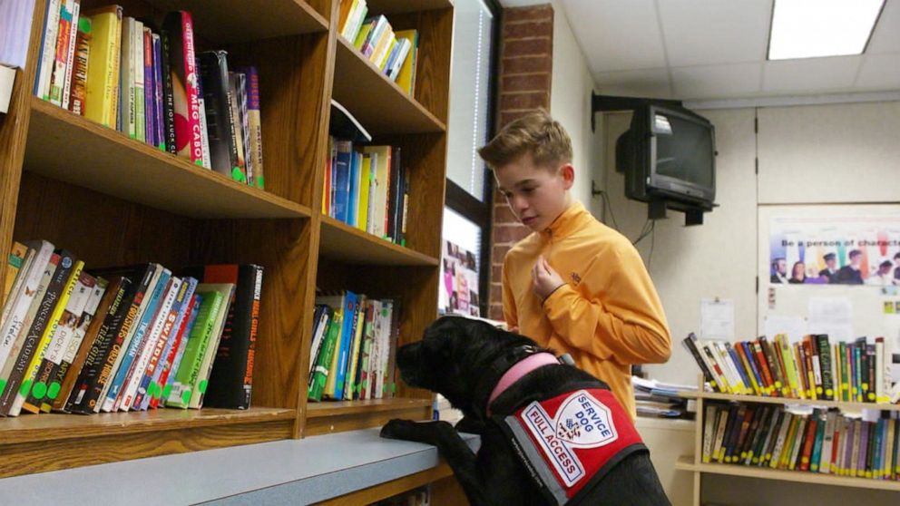 PHOTO: Hayden Kreikemeier, 13, first got his Labrador retriever, Trixie, three years ago to help with his life-threatening nut allergy. 